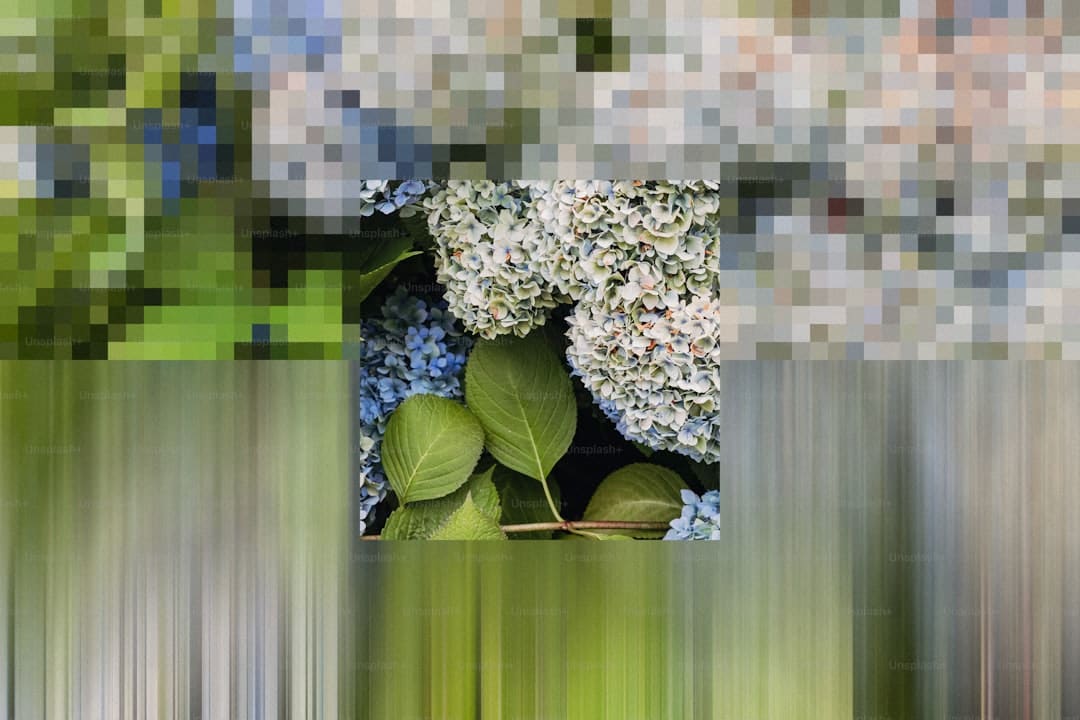 价格周报|供给富余 生猪周均价接连8周跌落